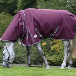 WeatherBeeta ComFiTec Plus Dynamic II Detach A Neck Medium Maroon Turnout Rug -Saddle Shop 13455 25757