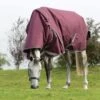 WeatherBeeta ComFiTec Plus Dynamic II Detach A Neck Medium Maroon Turnout Rug -Saddle Shop 13455 25758