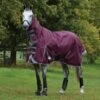 WeatherBeeta ComFiTec Plus Dynamic II Combo Neck Medium Maroon Turnout Rug -Saddle Shop 13457 25760