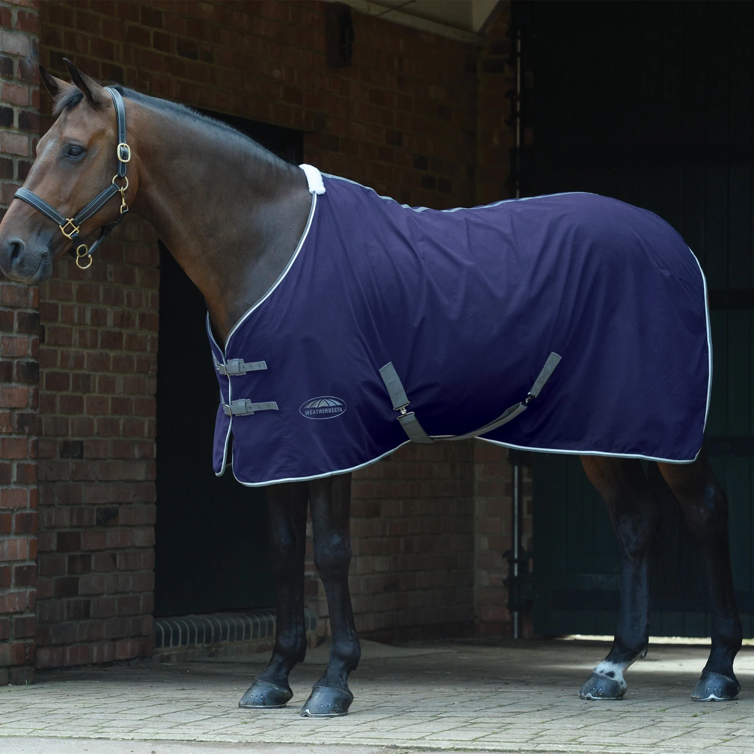 WeatherBeeta Cotton Show Sheet With Surcingles II Standard Neck 3 WeatherBeeta Cotton Show Sheet With Surcingles II Standard Neck