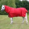 StormX Original 200 Combi Turnout Rug -Saddle Shop 13541 25869