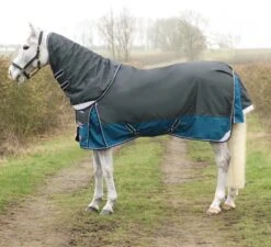 DefenceX System 50 Turnout Rug With Detachable Neck Cover