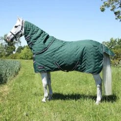 DefenceX System 100 Stable Rug With Detachable Neck Cover