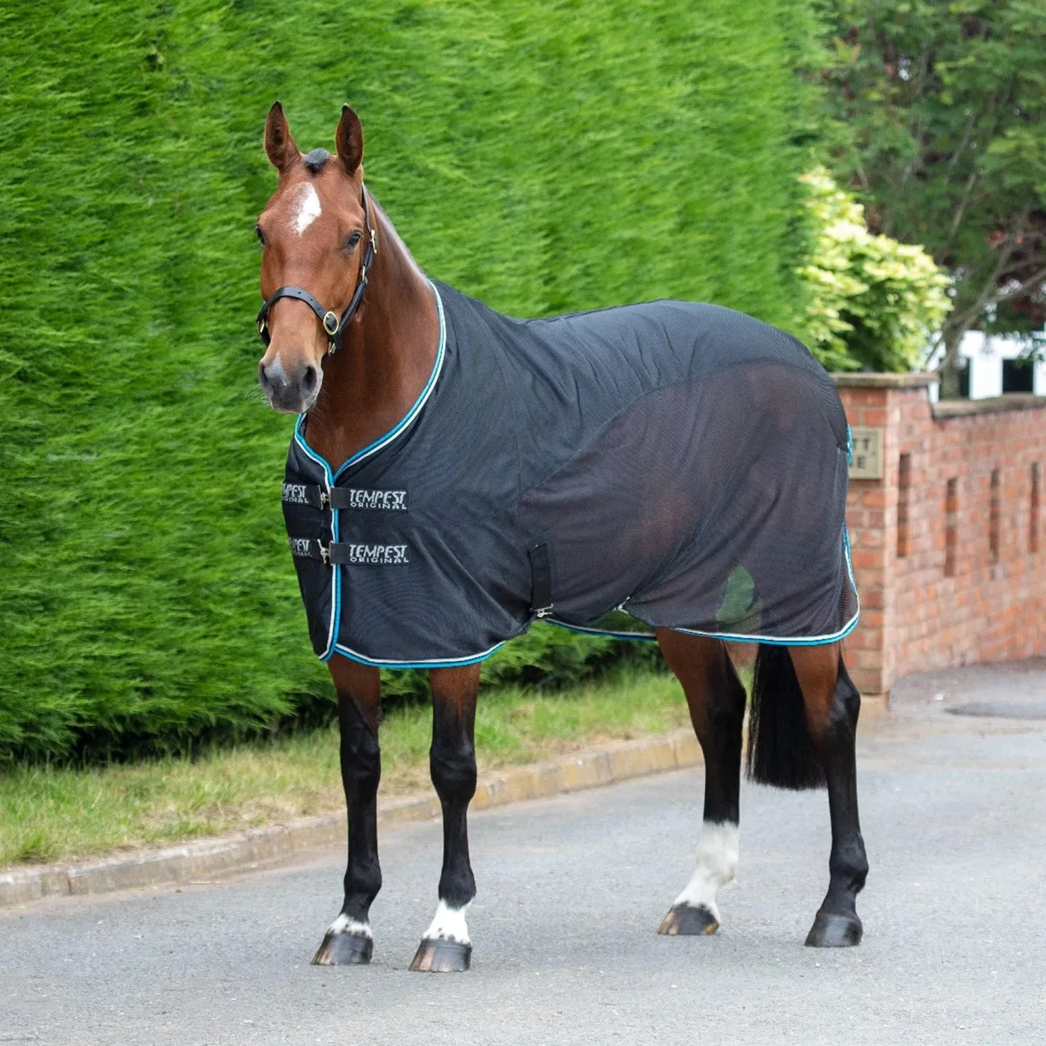 Shires Tempest Original Fleece/Mesh Cooler Rug 3 Shires Tempest Original Fleece/Mesh Cooler Rug