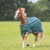 Shires Typhoon Lite Turnout Rug -Saddle Shop 14211 27145