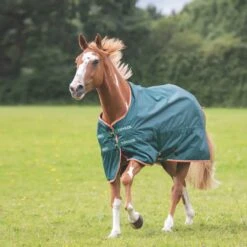 Shires Typhoon Lite Turnout Rug