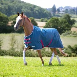 Shires Tempest Original Lite Turnout Rug Teal