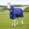 Shires Tempest Original Lite Turnout Rug & Neck Set 2 Shires Tempest Original Lite Turnout Rug & Neck Set -Saddle Shop 14214 27150
