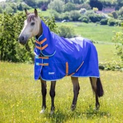 Shires Tempest Original 50 Turnout Combo Rug