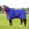 Shires Tempest Original 100 Turnout Rug & Neck Set 2 Shires Tempest Original 100 Turnout Rug & Neck Set -Saddle Shop 14222 27270