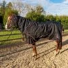 Whitaker Witton 200g Combo Turnout Rug -Saddle Shop 14232 27174