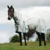 WeatherBeeta Green-Tec 900D Combo Neck Lite Plus Turnout Rug Light Grey/Bottle Green -Saddle Shop 14430 27303