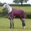 WeatherBeeta ComFiTec Plus Dynamic II Standard Neck Medium/Lite Maroon Turnout Rug -Saddle Shop 14437 27320