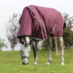 WeatherBeeta ComFiTec Plus Dynamic II Detach A Neck Lite Maroon Turnout Rug