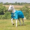 Shires Highlander Original Lite Turnout Rug Teal -Saddle Shop 14522 27403