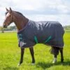 Shires Tempest Original 300 Turnout Rug Black -Saddle Shop 14970 28073
