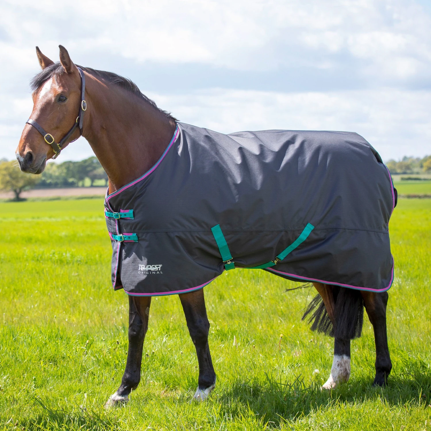 Shires Tempest Original 300 Turnout Rug Black 3 Shires Tempest Original 300 Turnout Rug Black