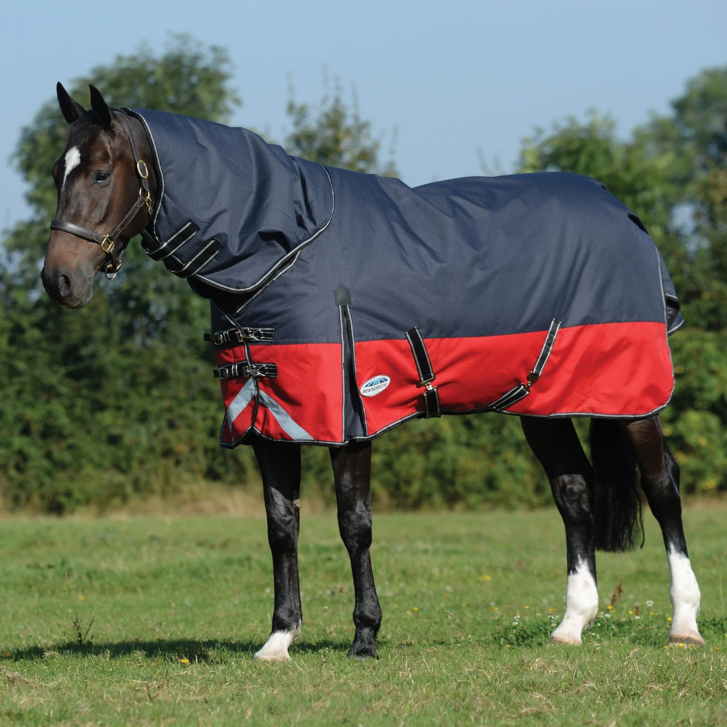 WeatherBeeta ComFiTec Plus Dynamic II Detach A Neck Medium Black Rug 3 WeatherBeeta ComFiTec Plus Dynamic II Detach A Neck Medium Black Rug