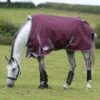 WeatherBeeta ComFiTec Plus Dynamic II Standard Neck Medium Maroon Turnout Rug -Saddle Shop 15053 28524