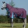 WeatherBeeta ComFiTec Essential Combo Neck Medium Grape Turnout Rug