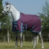 WeatherBeeta ComFiTec Essential Standard Neck Medium Grape Purple Turnout Rug
