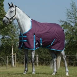 WeatherBeeta ComFiTec Essential Standard Neck Medium Grape Purple Turnout Rug