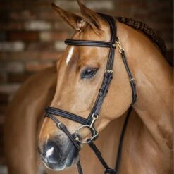 LeMieux Kudos Work Bridle