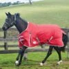 WeatherBeeta ComFiTec Classic Standard Neck Medium/Lite Red Turnout Rug -Saddle Shop 15095 28614
