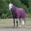 WeatherBeeta Fleece Cooler Combo Neck Maroon Rug -Saddle Shop 15106 28671