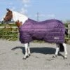 Whitaker Thistle 200g Stable Rug -Saddle Shop 15175 28555