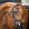 Velociti Lusso Ergonomic Curved Flash Bridle -Saddle Shop 15299 30174