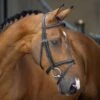 Velociti Lusso Padded Raised Flash Bridle