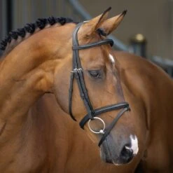 Velociti Lusso Padded Raised Flash Bridle
