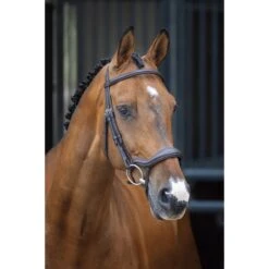 Velociti Lusso Ergonomic Flash Bridle