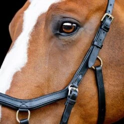 Horseware Micklem 2 Competition Bridle 11 Horseware Micklem 2 Competition Bridle -Saddle Shop 15317 30768