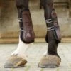 John Whitaker Bingley Tendon And Fetlock Set -Saddle Shop 15418 29142