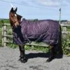 Whitaker Crompton 100g Stable Rug Purple