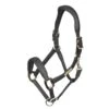 Velociti Rapida Comfort Leather Headcollar 2 Velociti Rapida Comfort Leather Headcollar -Saddle Shop 15915 30310