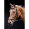Salisbury Buckingham Bridle -Saddle Shop 15922 30362