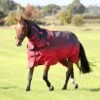Shires Tempest Original 100 Combo Turnout Rug Red Skeleton 2 Shires Tempest Original 100 Combo Turnout Rug Red Skeleton -Saddle Shop 15957 30491