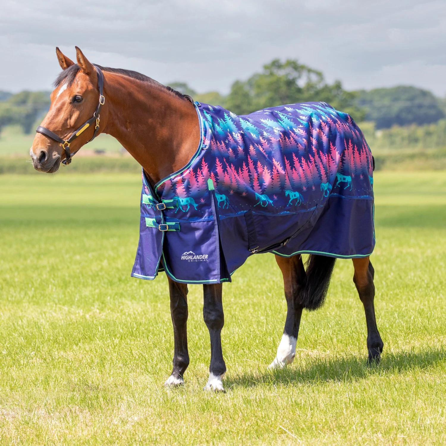 Shires Highlander Original Lite Turnout Rug Navy Forest 3 Shires Highlander Original Lite Turnout Rug Navy Forest