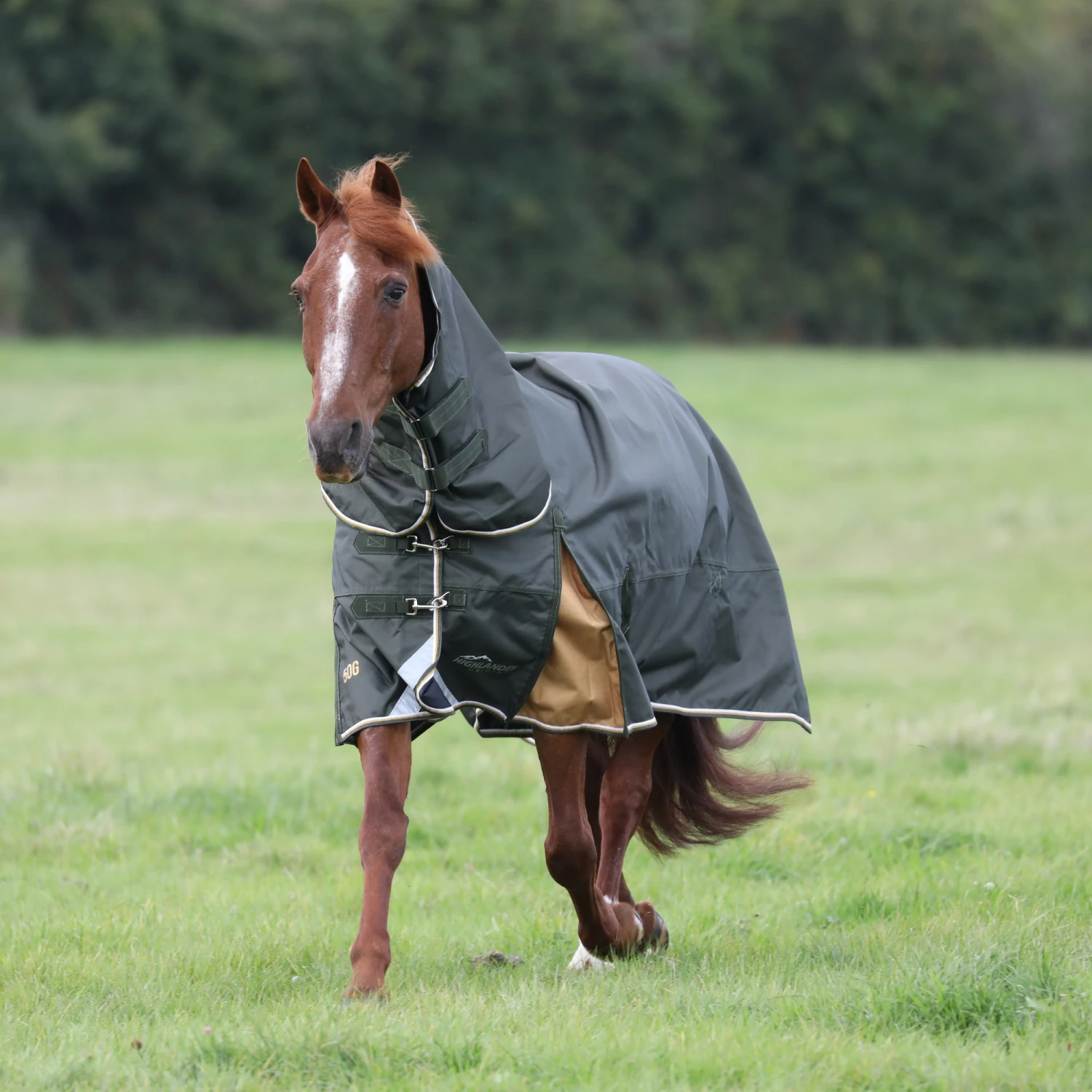 Shires Highlander Plus 50 Combo Turnout Rug Green 4 Shires Highlander Plus 50 Combo Turnout Rug Green - Image 2