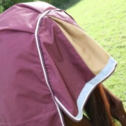 Shires Highlander Plus 100 Turnout Rug Maroon 8 Shires Highlander Plus 100 Turnout Rug Maroon -Saddle Shop 15971 30513