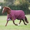 Shires Highlander Plus 100 Turnout Rug Maroon -Saddle Shop 15971 30515