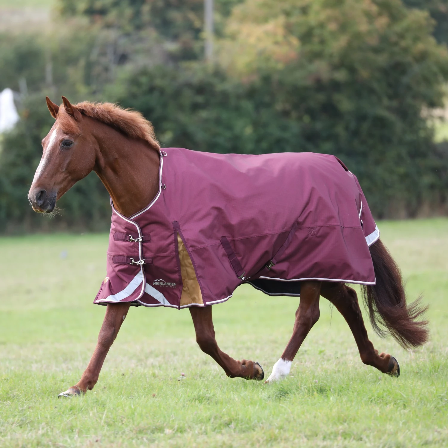 Shires Highlander Plus 100 Turnout Rug Maroon 3 Shires Highlander Plus 100 Turnout Rug Maroon