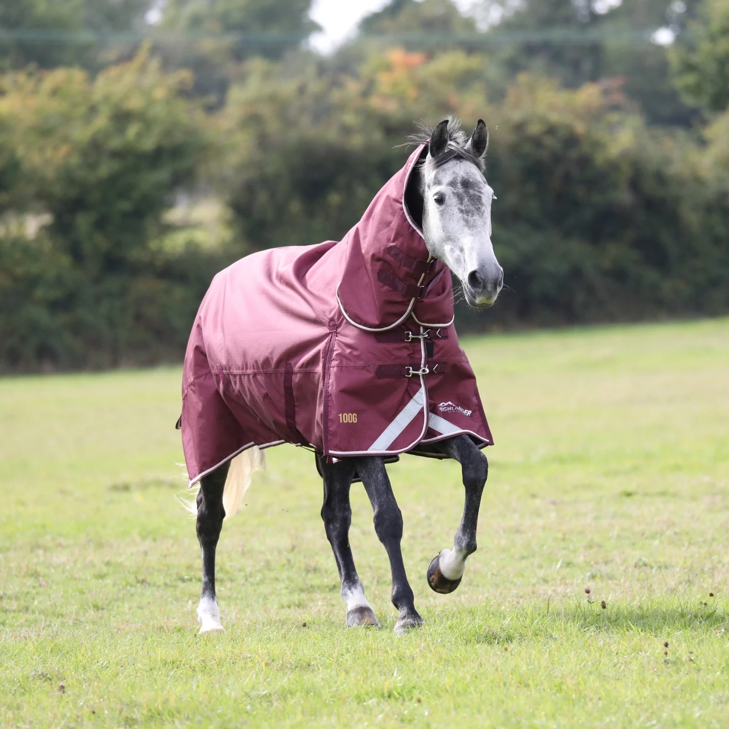 Shires Highlander Plus 100 Combo Turnout Rug Maroon 4 Shires Highlander Plus 100 Combo Turnout Rug Maroon - Image 2