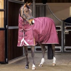 Shires Highlander Plus 100 Combo Turnout Rug Maroon