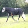Shires Highlander Plus 200 Combo Turnout Rug Black