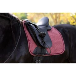 LeMieux Suede Dressage Square Orchid -Saddle Shop 16261 31478