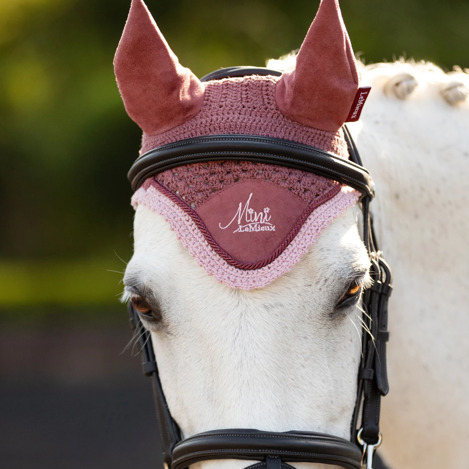 LeMieux Mini Fly Hood Orchid 4 LeMieux Mini Fly Hood Orchid - Image 2